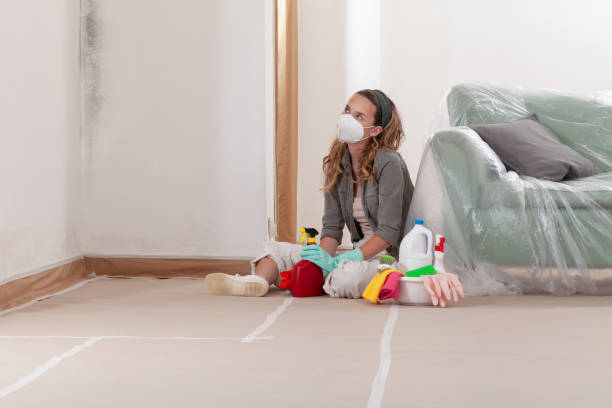 Reliable Black Mold Removal contractor in Bridgeport, NY by WQB Mold Removal